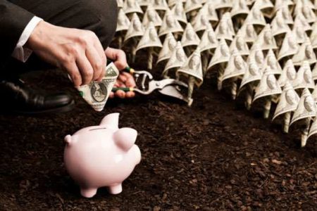 Financial Planning for a Compact Farm Image